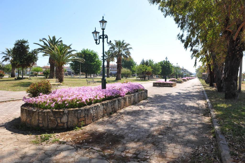 Hotel Eleni Paralia Dionysiou Dış mekan fotoğraf